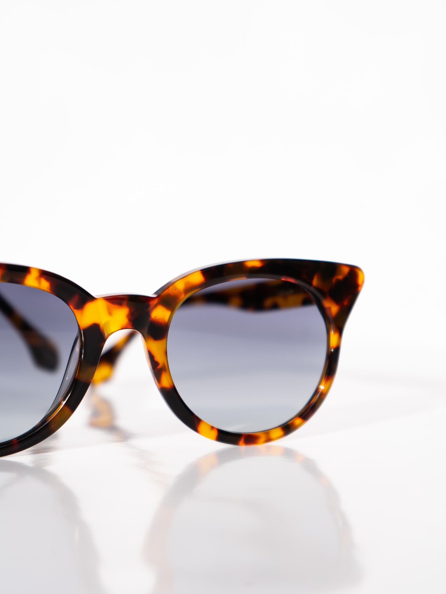 Alino's Tortoiseshell